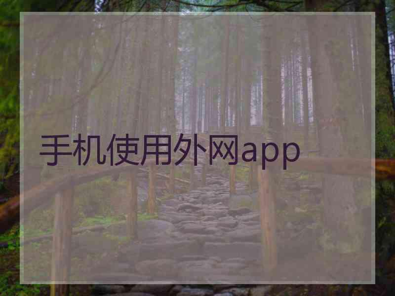 手机使用外网app