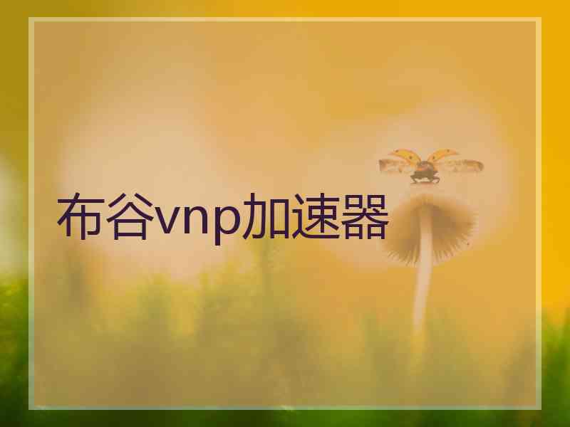 布谷vnp加速器