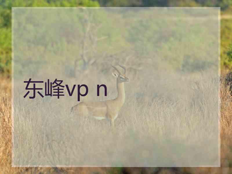 东峰vp n