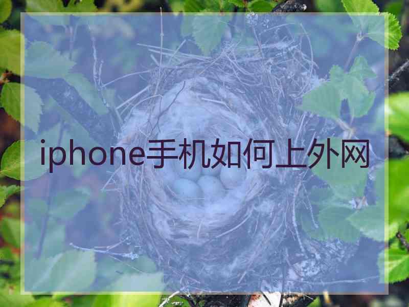 iphone手机如何上外网