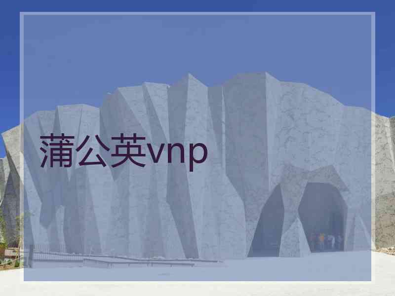 蒲公英vnp