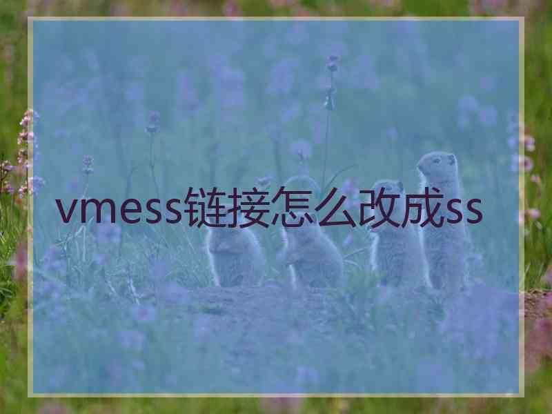 vmess链接怎么改成ss