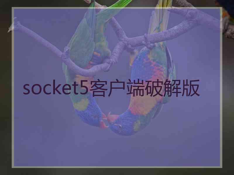 socket5客户端破解版