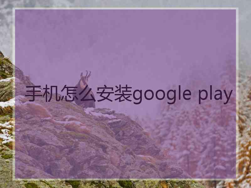 手机怎么安装google play