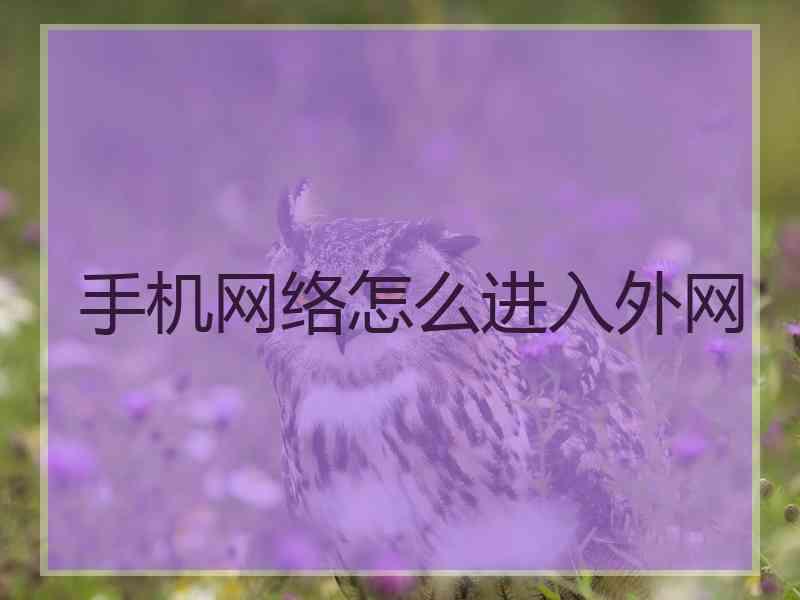 手机网络怎么进入外网