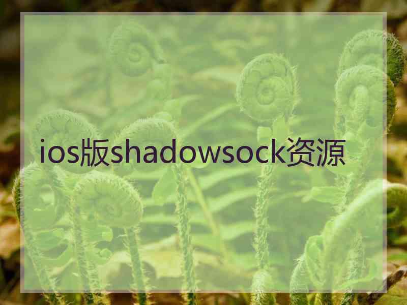 ios版shadowsock资源