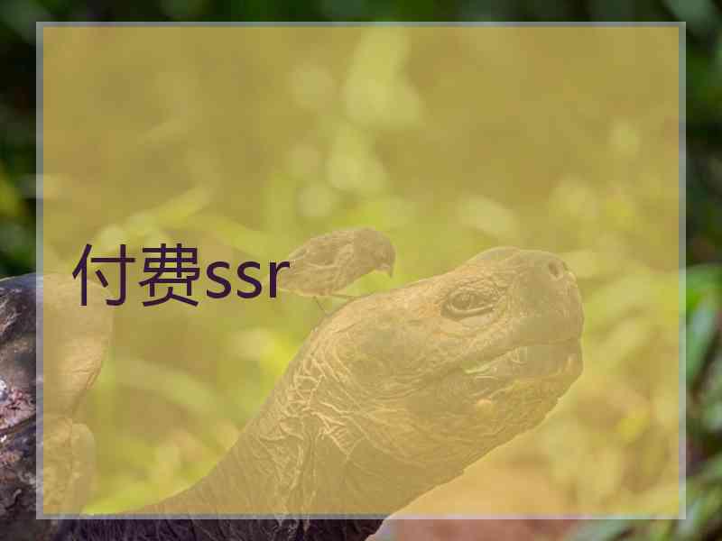 付费ssr