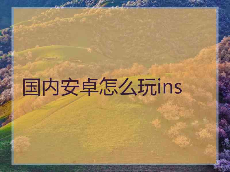 国内安卓怎么玩ins