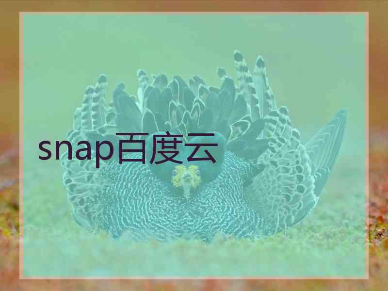 snap百度云