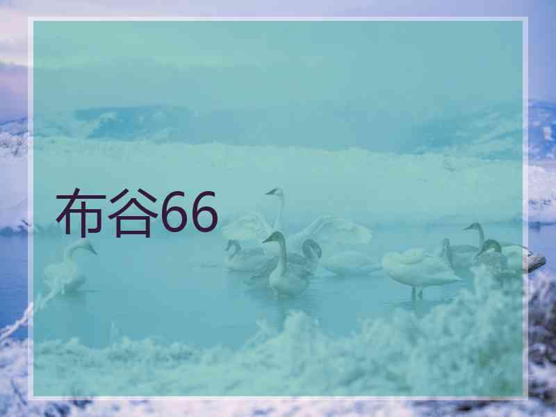 布谷66