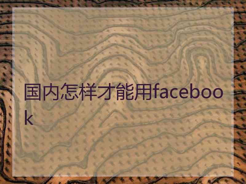 国内怎样才能用facebook