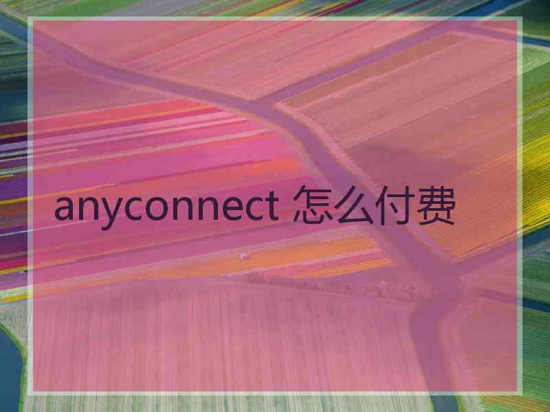 anyconnect 怎么付费