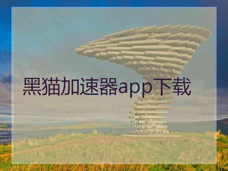 黑猫加速器app下载