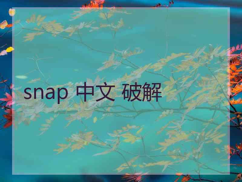 snap 中文 破解