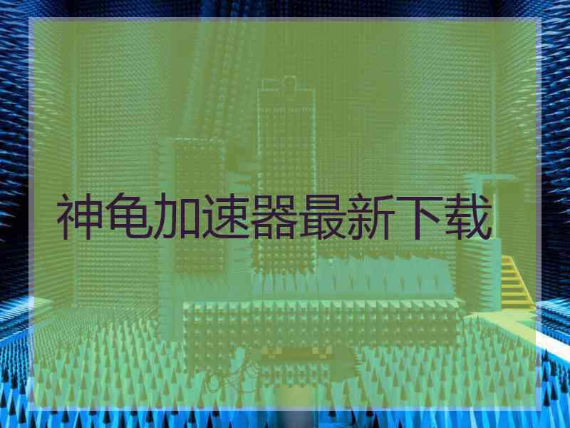 神龟加速器最新下载