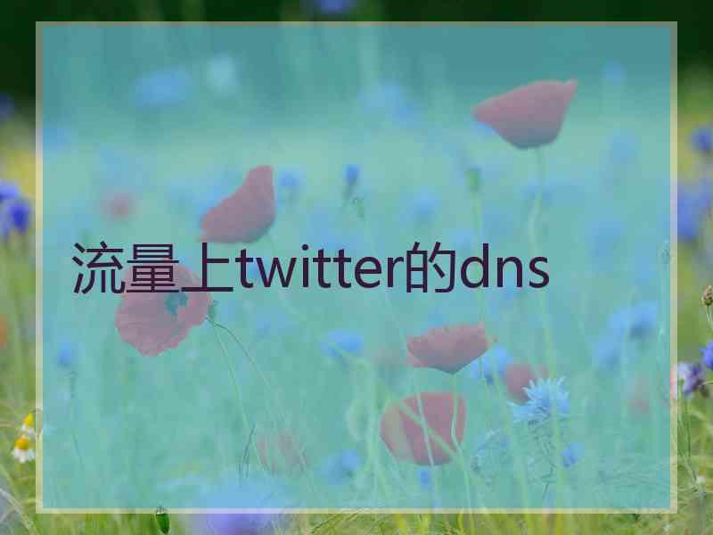 流量上twitter的dns