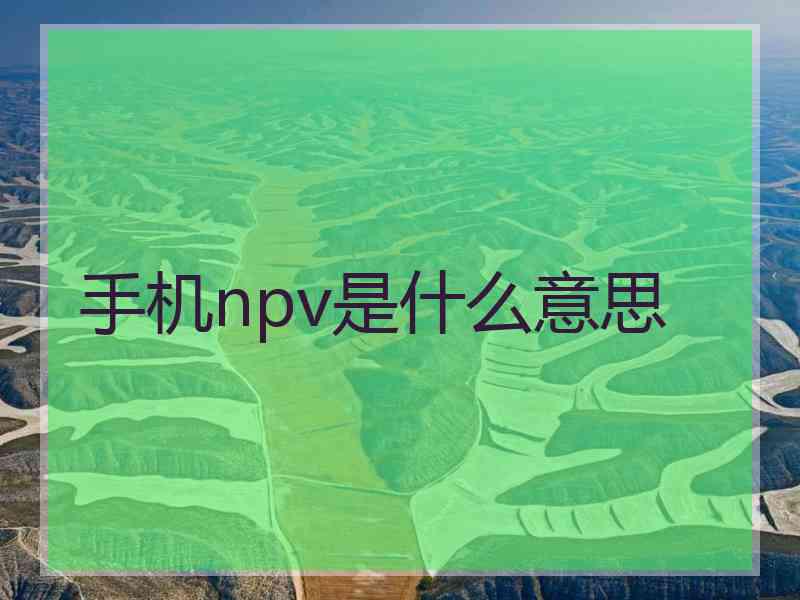 手机npv是什么意思