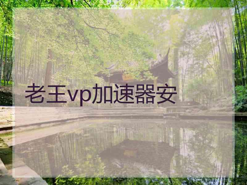 老王vp加速器安