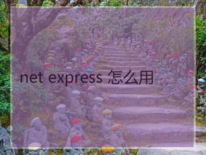 net express 怎么用