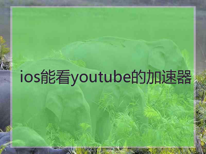 ios能看youtube的加速器