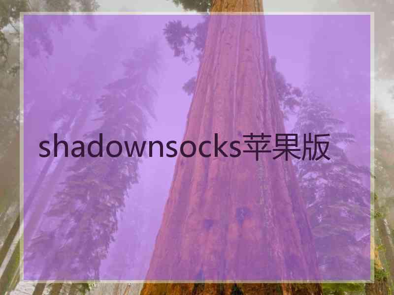 shadownsocks苹果版