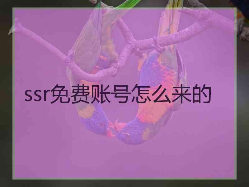 ssr免费账号怎么来的