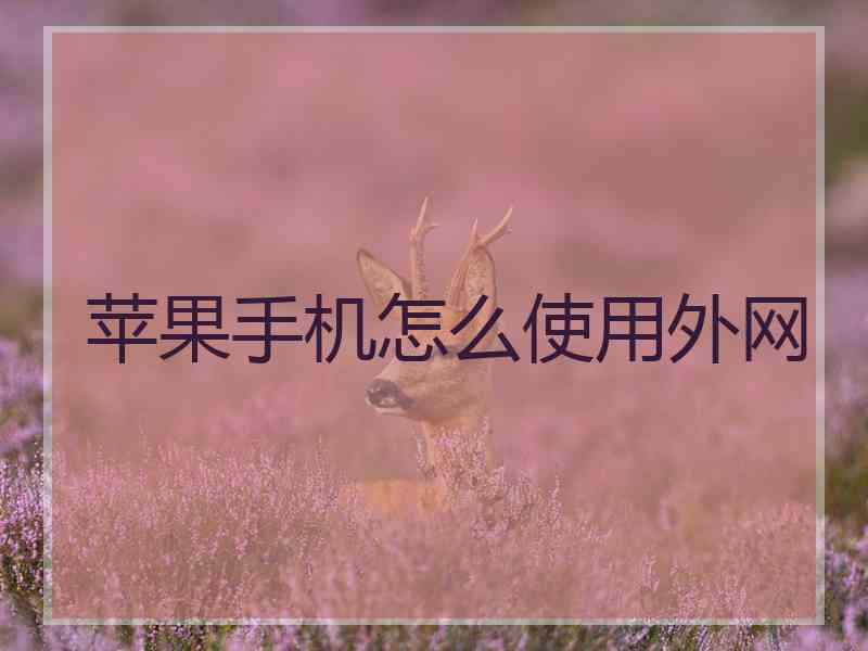 苹果手机怎么使用外网