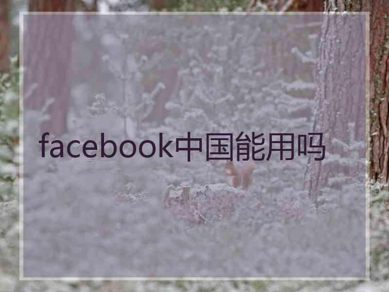 facebook中国能用吗