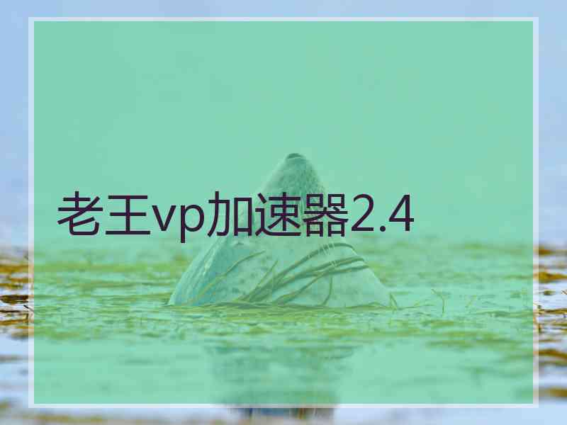 老王vp加速器2.4