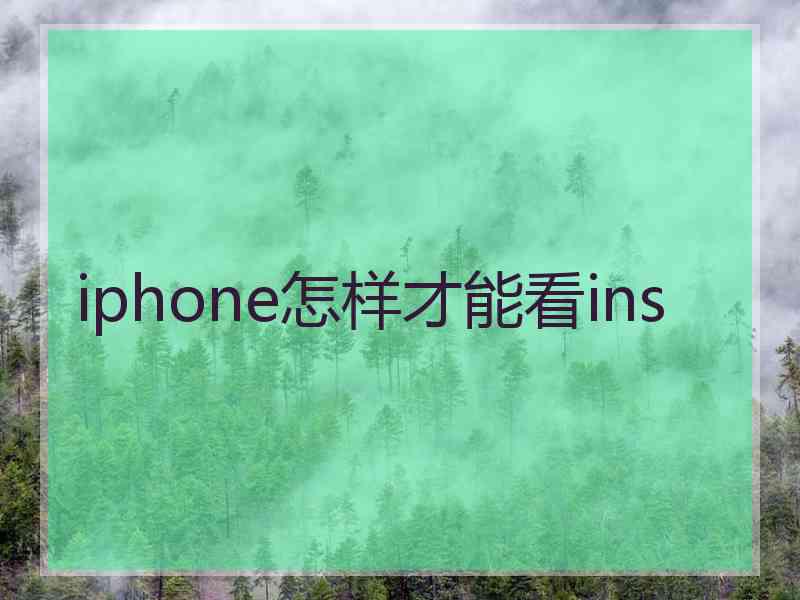 iphone怎样才能看ins