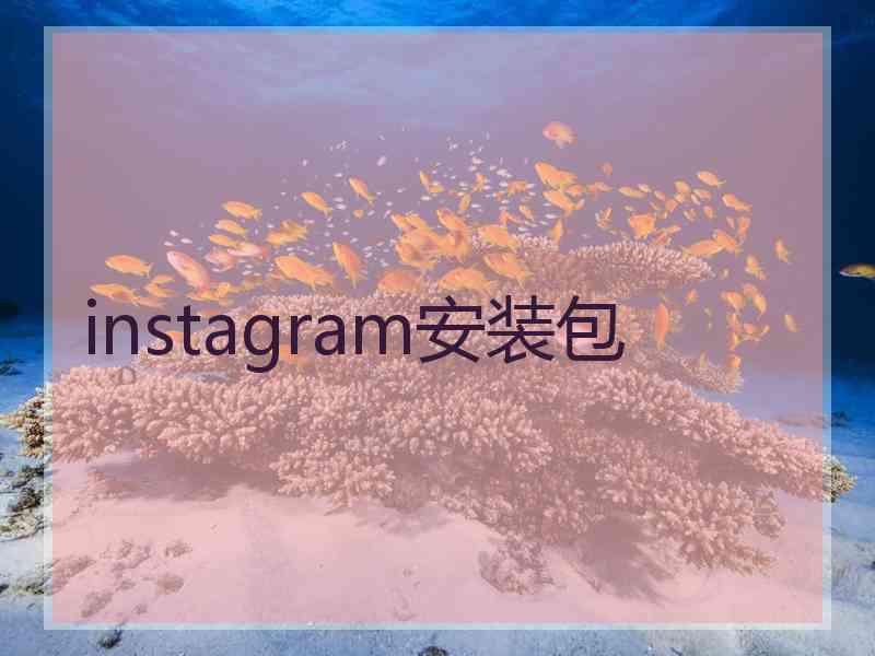 instagram安装包