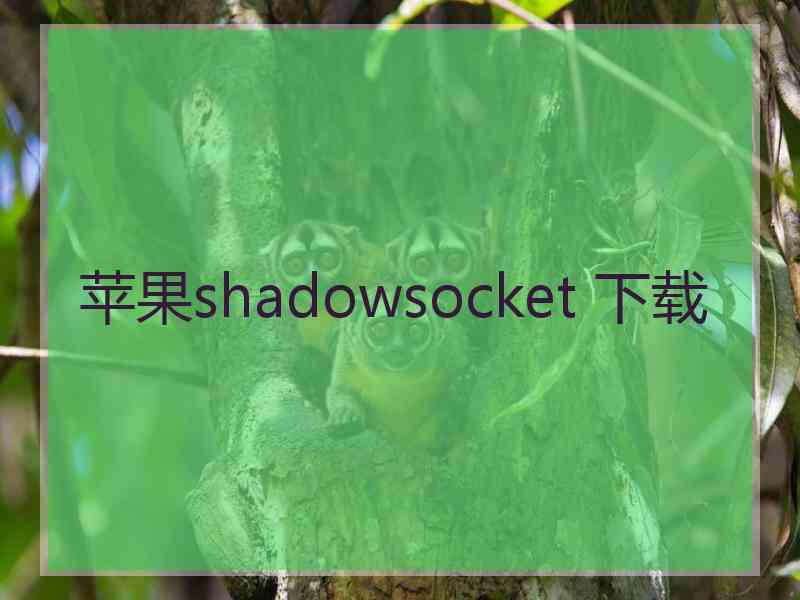 苹果shadowsocket 下载