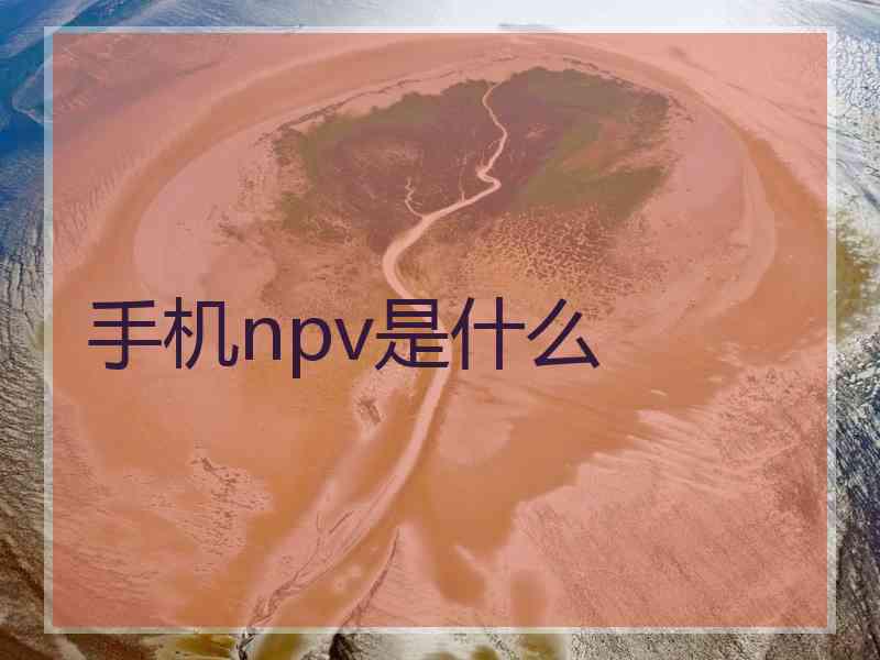 手机npv是什么