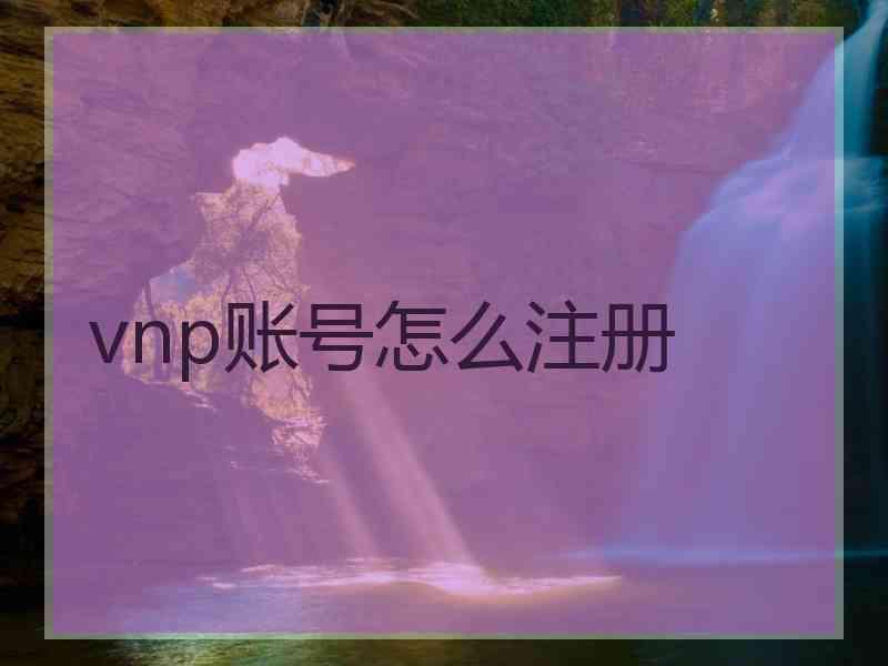 vnp账号怎么注册