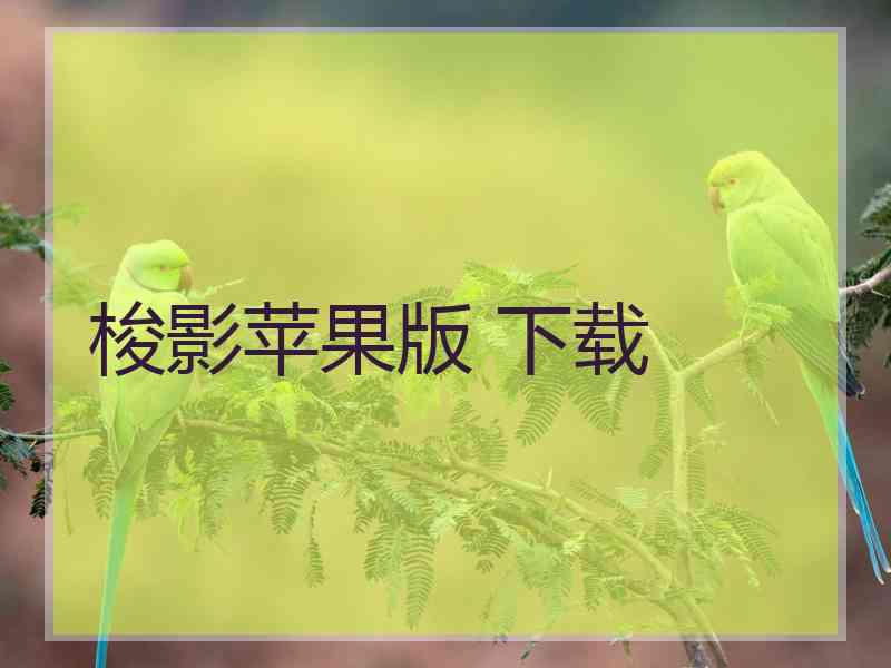 梭影苹果版 下载