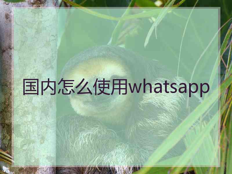 国内怎么使用whatsapp