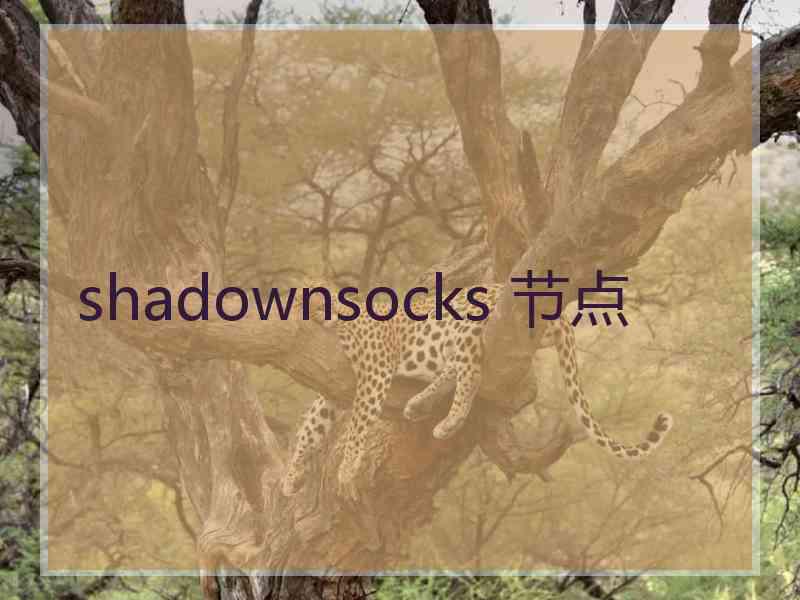 shadownsocks 节点