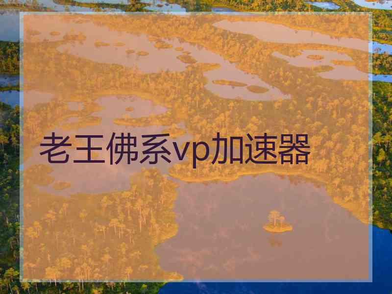 老王佛系vp加速器