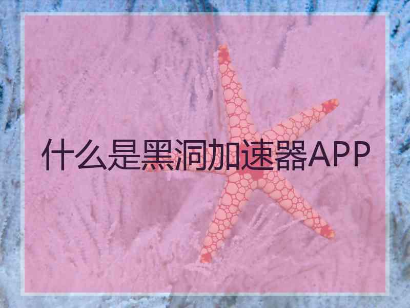 什么是黑洞加速器APP