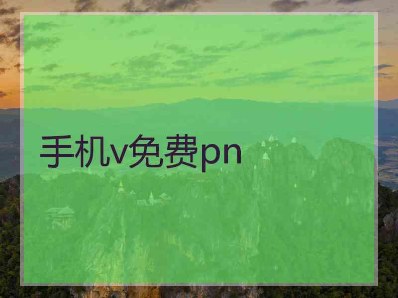 手机v免费pn