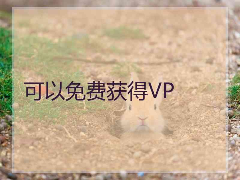 可以免费获得VP