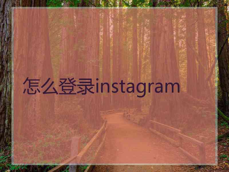 怎么登录instagram