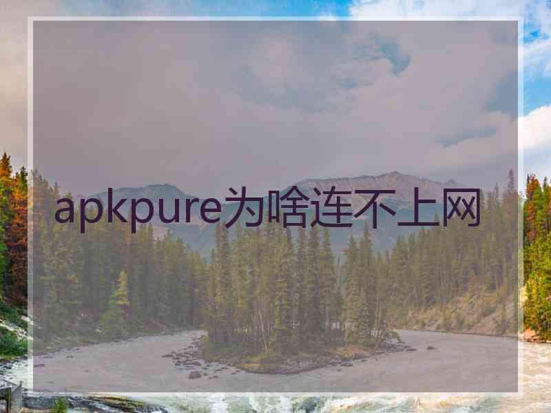 apkpure为啥连不上网