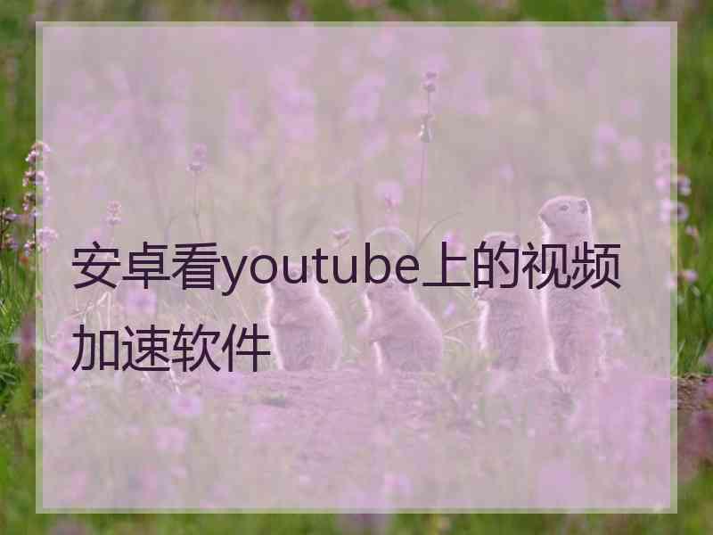 安卓看youtube上的视频加速软件