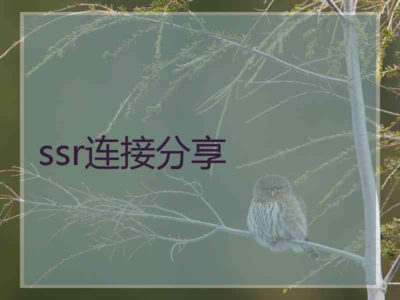 ssr连接分享