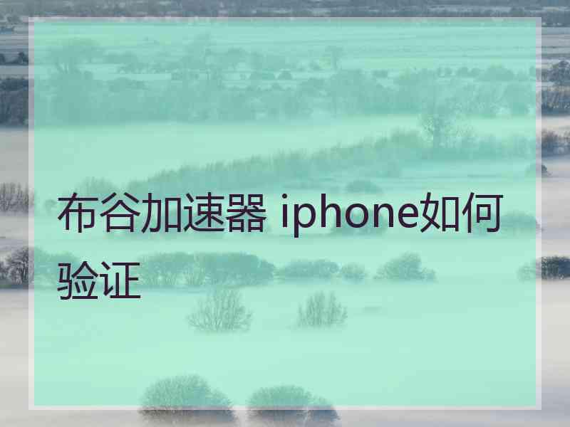 布谷加速器 iphone如何验证