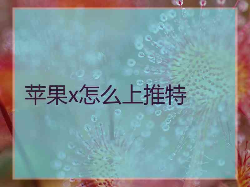 苹果x怎么上推特