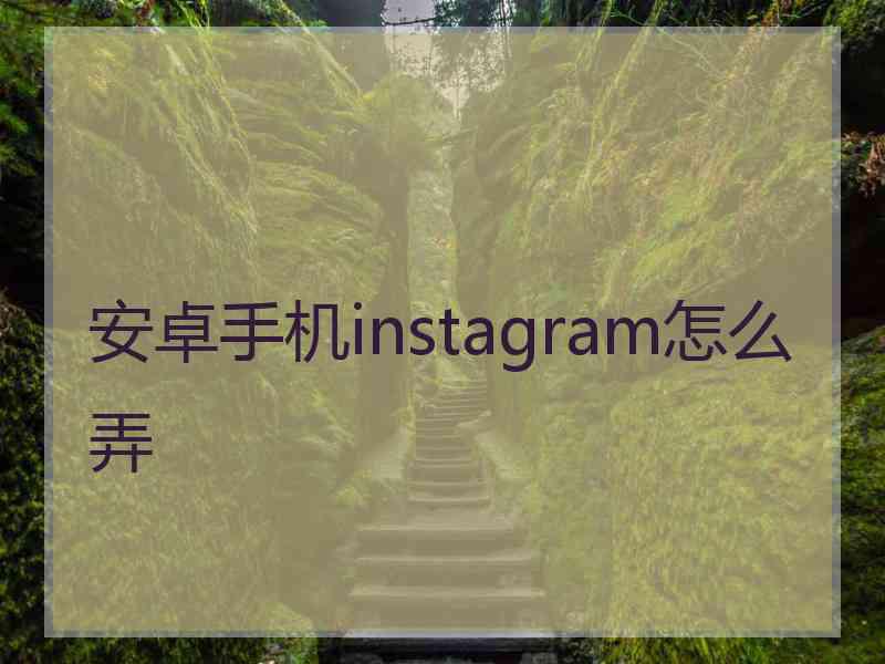 安卓手机instagram怎么弄