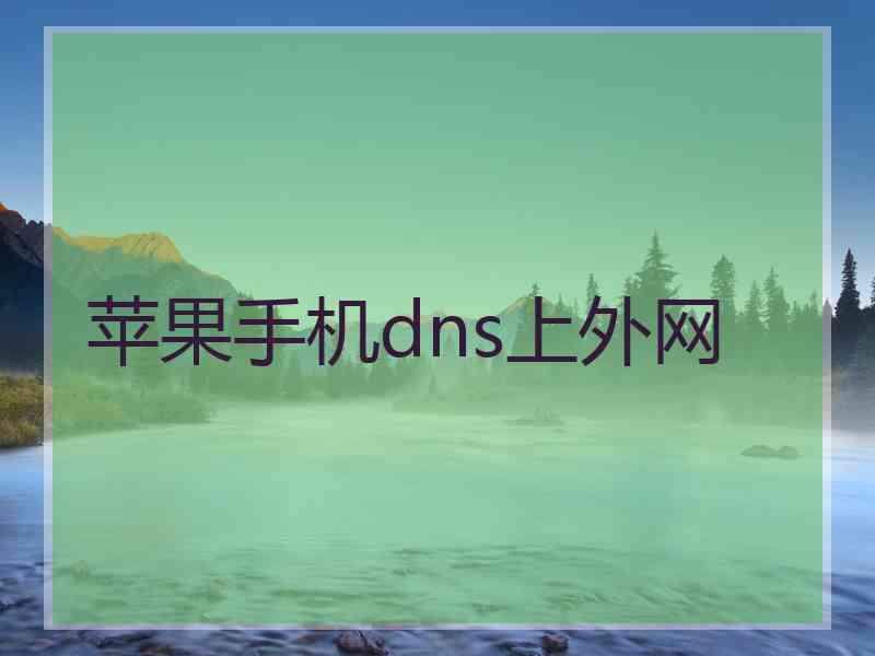 苹果手机dns上外网