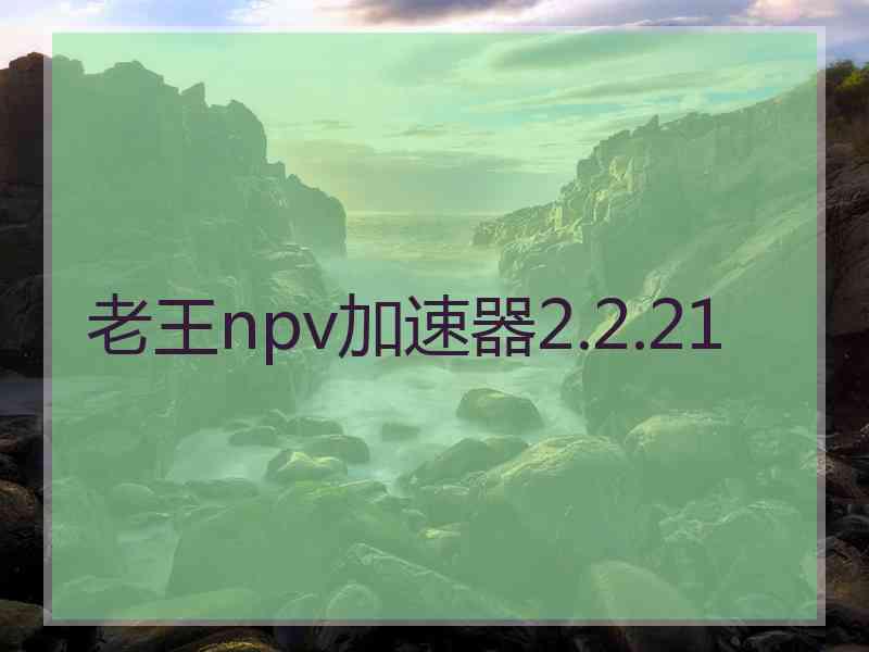 老王npv加速器2.2.21